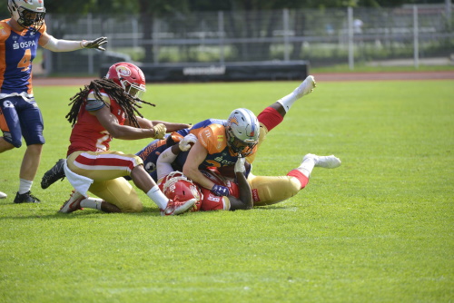 Cougars vs. Griffins