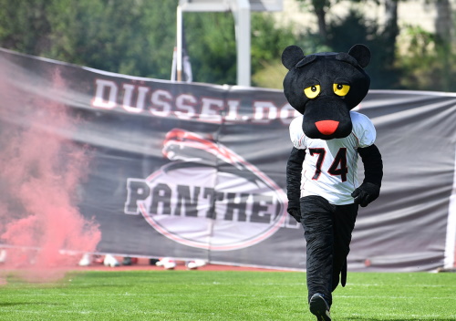 Düsseldorf Panther Maskottchen wartet vergeblich auf Lübeck