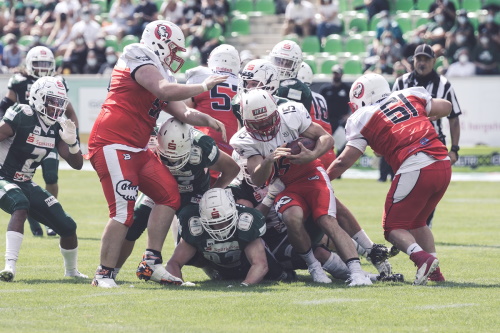 Stuttgart Scorpions - Schwäbisch Hall Unicorns