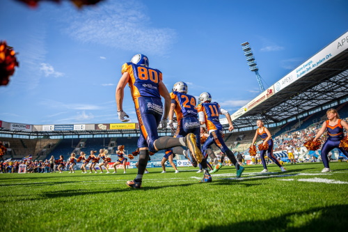 Rostock Griffins