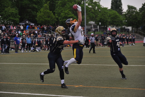 Mainz Golden Eagles vs. Wiesbaden Phantoms