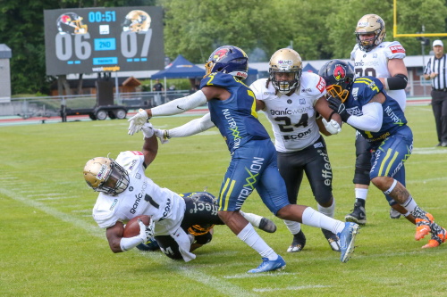 Assindia Cardinals - Paderborn Dolphins