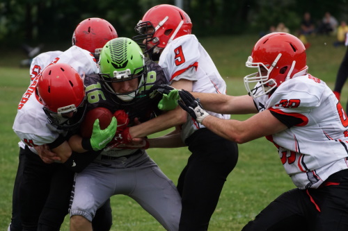 Hawks vs. Crusaders