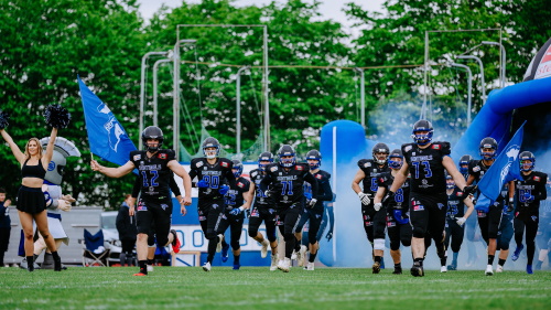 Bad Homburg Sentinels