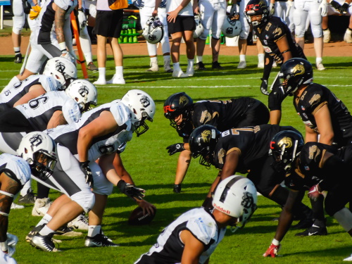 Giessen Golden Dragons - Ingolstadt Dukes