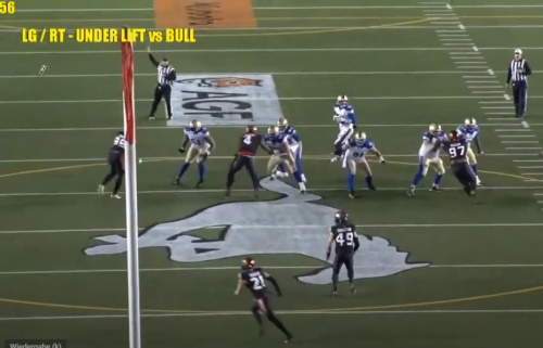 Screenshot der letzten CFL Coaching Clinic 2021