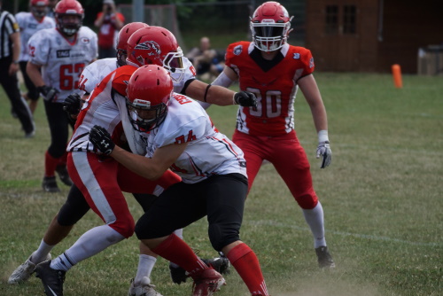 Falken vs. Crusaders