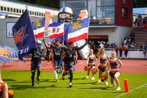Rostock Griffins