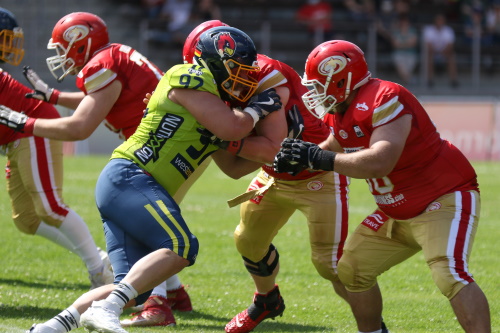 Assindia Cardinals vs. Lübeck Cougars