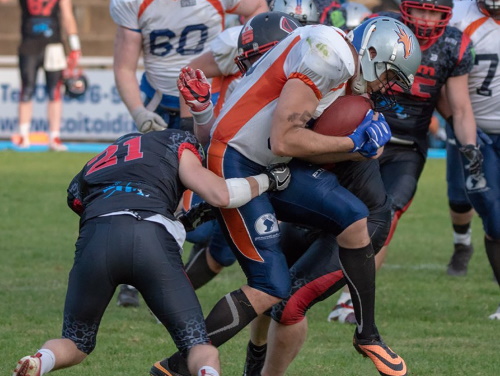 Paladins vs. Griffins