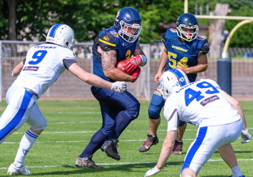 Hornets wollen gewinnen