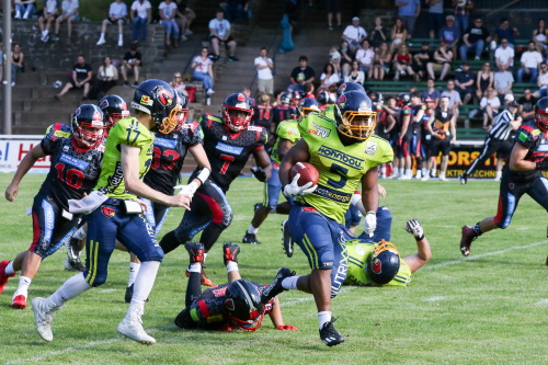 Cardinals vs. Paladins