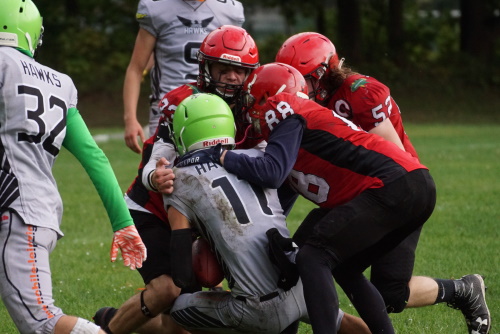 Hawks vs. Varlets
