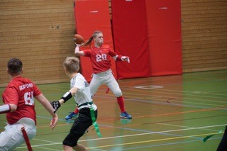 Stuttgart Scorpions Flags