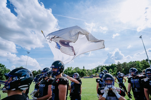 Bad Homburg Sentinels