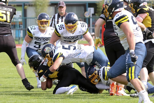 Assindia Cardinals Defense
