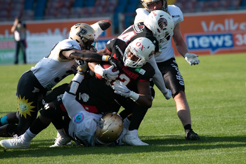 Lions vs. Dolphins