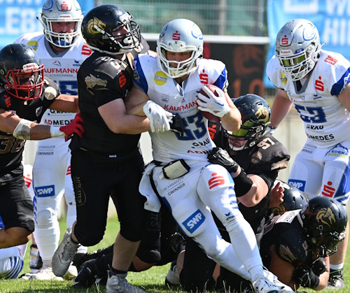 Golden Dragons vs. Wilddogs