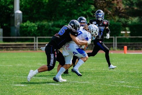 Sentinels - Wilddogs