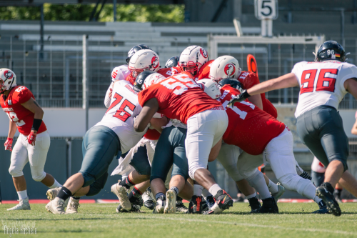 Scorpions vs. Wildcats