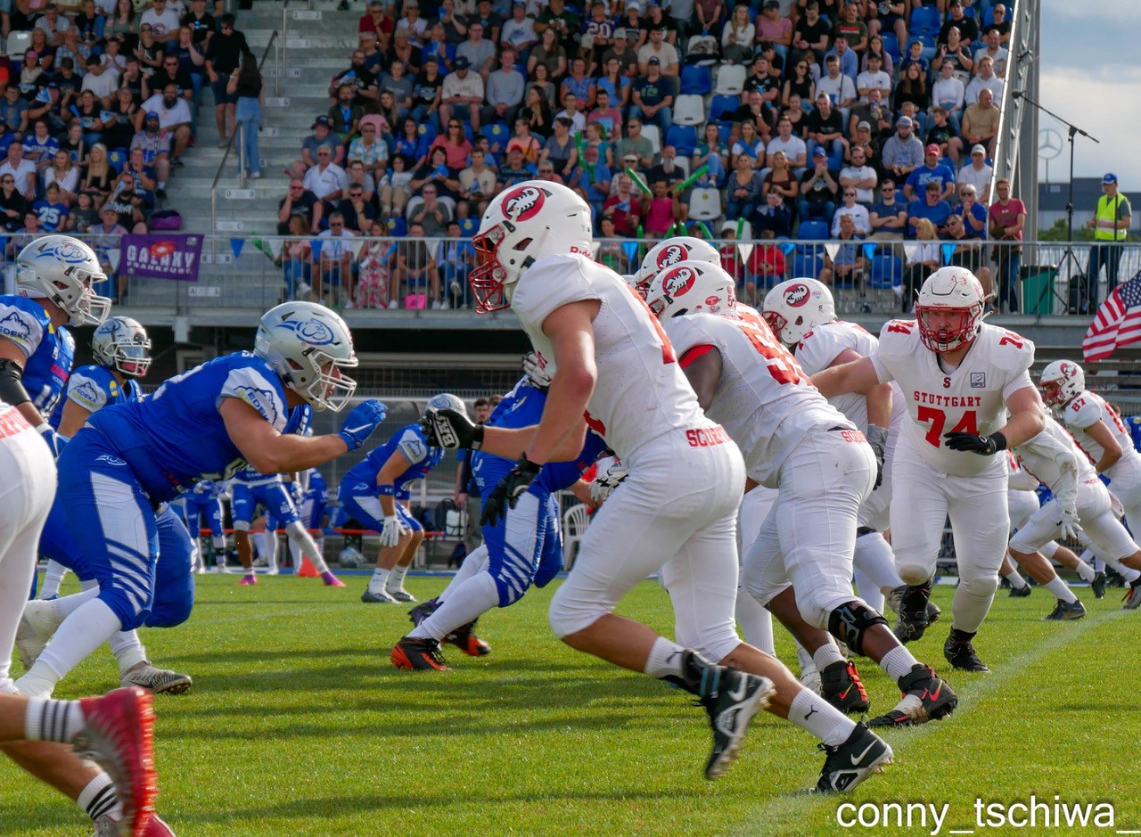 Wilddogs vs. Scorpions