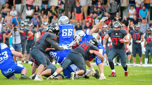 Wildcats vs.Wilddogs