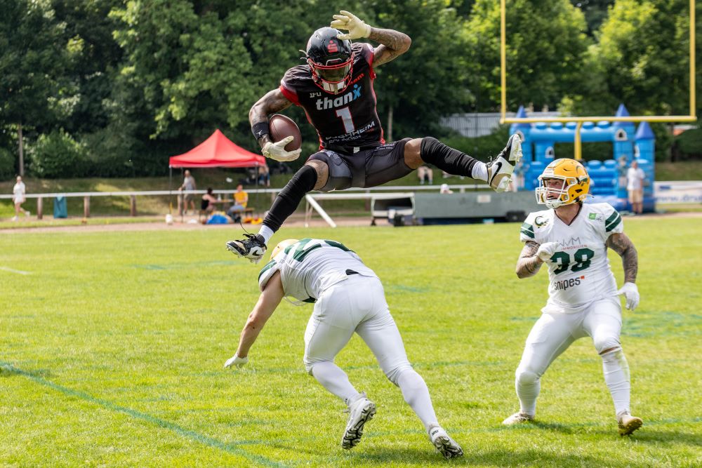 Die Paladins reisen zu den Cologne Falcons