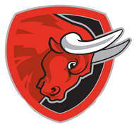 Salzburg Bulls