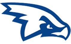 Air Force Hawks