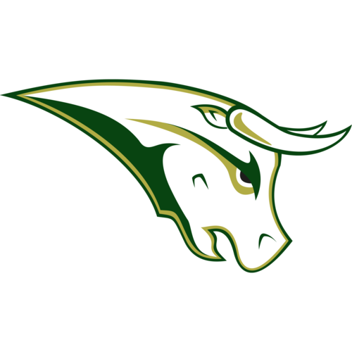 STU Northside Bulls