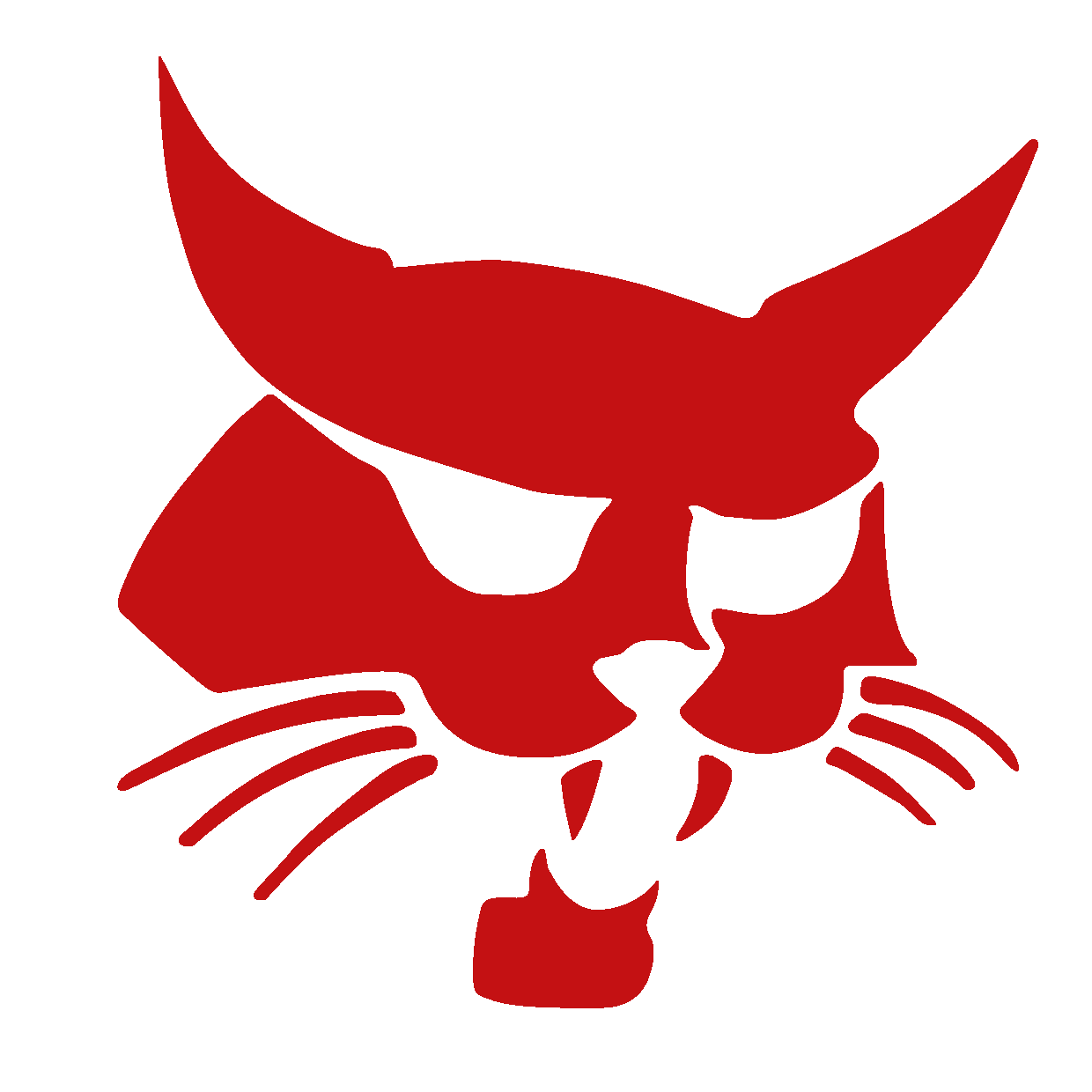 Pribram Bobcats