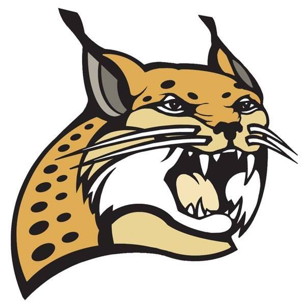 Vitebsk Lynxes