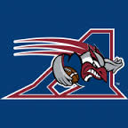 Alouettes deMontréal