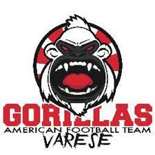 Gorillas Varese