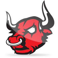 Mad Bulls Barletta