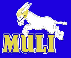 Muli Trieste