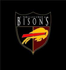 Besancon Bisons