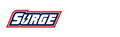 Staffordshire Surge