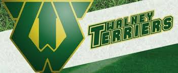 Walney Terriers