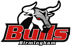Birmingham Bulls