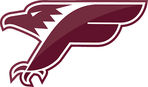 Falcons de Bron-Villeurbanne