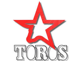 Madrid Toros