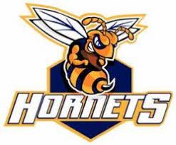 Zaragoza Hornets