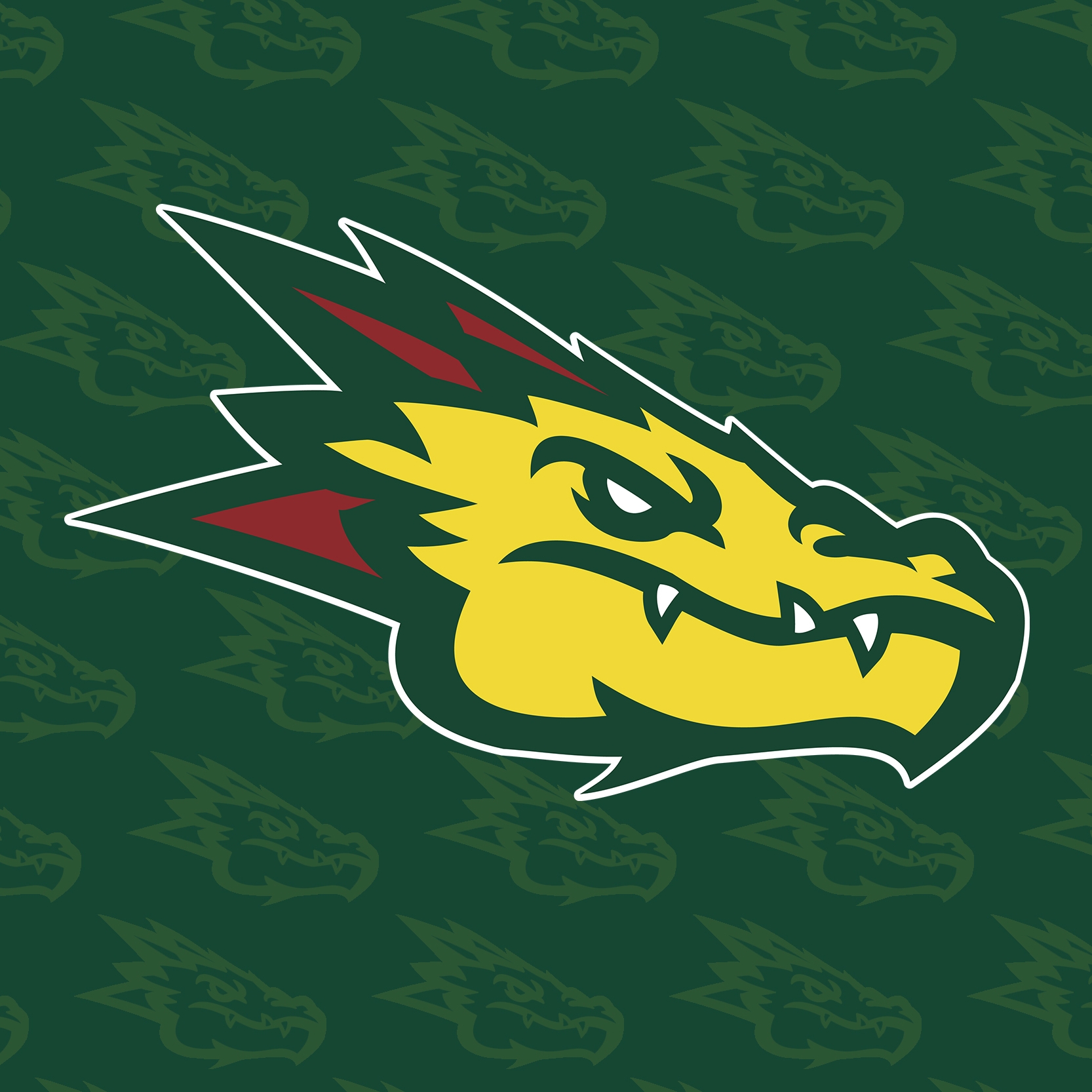 Barcelona Dragons